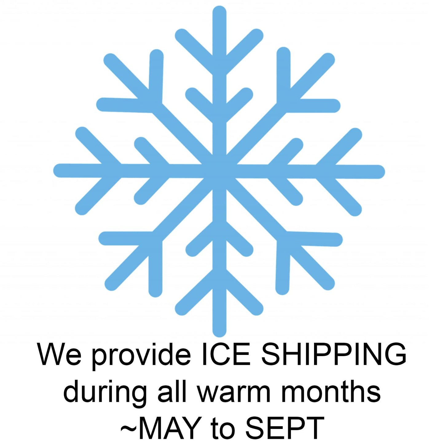 Sugar Free Candy Sugar Free Chocolate 5 Variety Pack - Reese’s Cups, York Mint Patties, Special Dark, Milk Chocolate, and Caramel | Zero Sugar | 3 Ounce Bags (5 Pack) - Ships in an Aromatik™ damage proof box