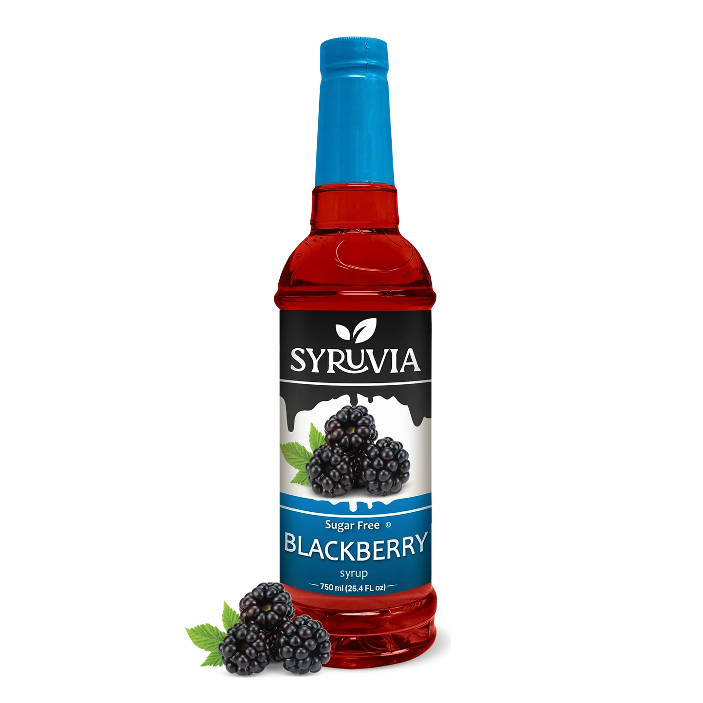 Sugar-Free Blackberry Syrup-0