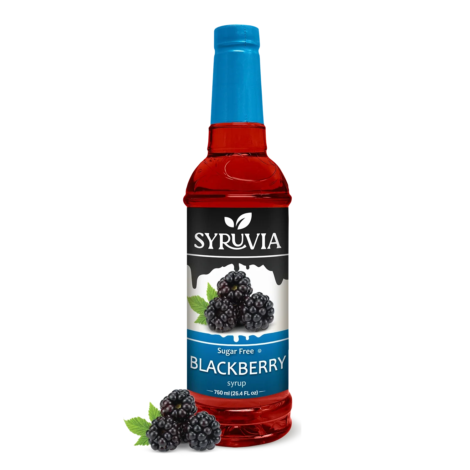 Sugar-Free Blackberry Syrup-0