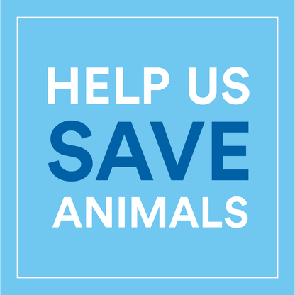 Envirokidz Amazon Frosted Flakes Gluten Free (12x14 Oz)-5