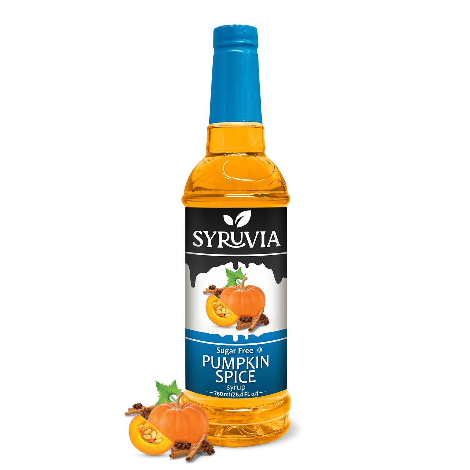 Sugar-Free Pumpkin Spice Syrup-0
