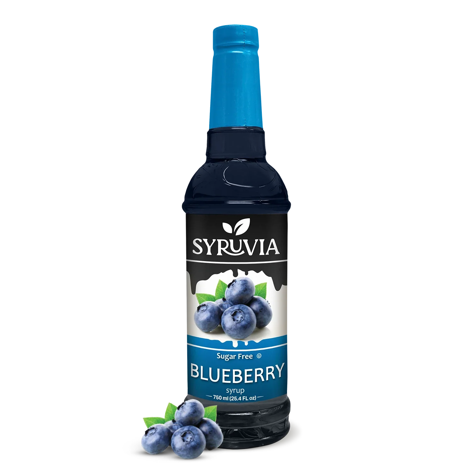 Sugar-Free Blueberry Syrup-0
